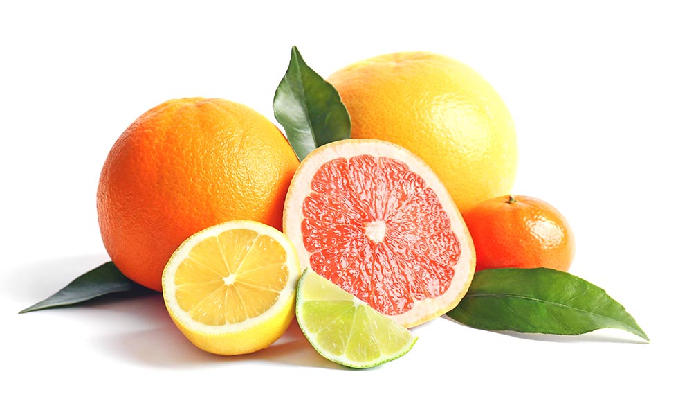 Explore Citrus Collection