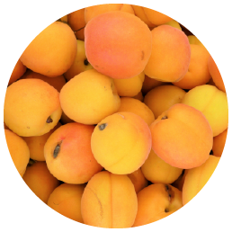 Organic_Apricots