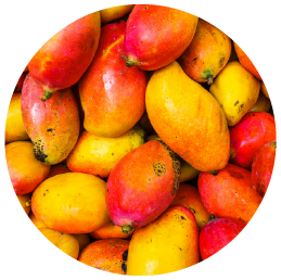 Organic_Mango