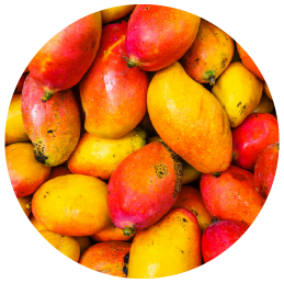 Organic_Mango